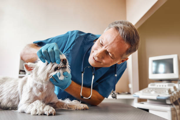 Best After-Hours Dental Care in Carrabelle, FL